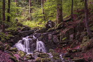 Kleiner Wasserfall am Buchenbach