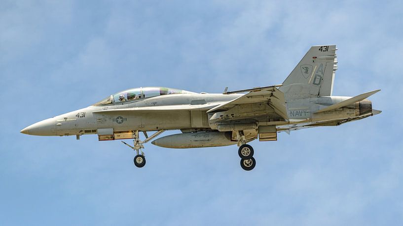 U.S. Navy Boeing F/A-18D Hornet from VFA-106 Gladiators. by Jaap van den Berg