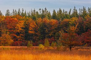 Herfst in Drenthe van Henk Meijer Photography