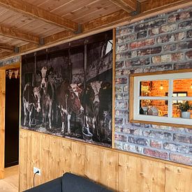 Customer photo: Dutch cows in an old barn by Inge Jansen