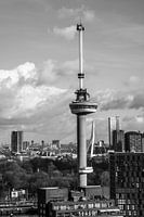 Euromast and Erasmus Bridge