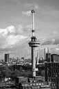 Euromast and Erasmus Bridge by Ton de Koning thumbnail