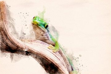 Groene gekko (waterverf edit)
