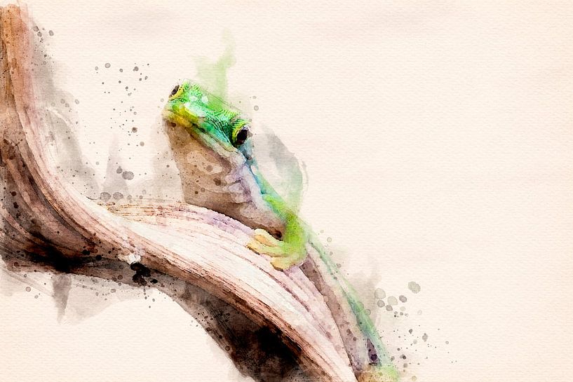 Gecko vert (montage aquarelle) par Gig-Pic by Sander van den Berg
