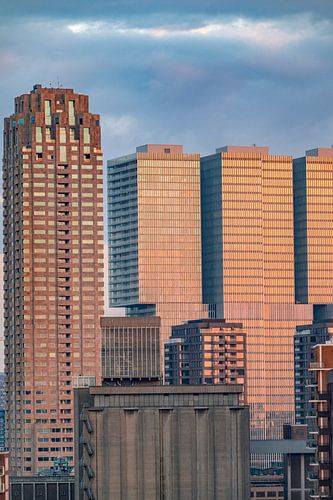 Rotterdam skyline tijdens zonsopgang