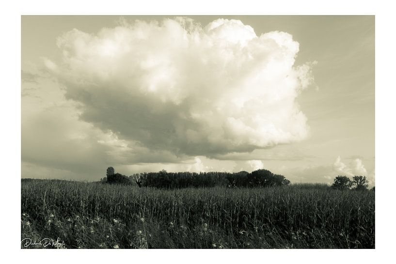 Cloud composition by Diederik De Mezel