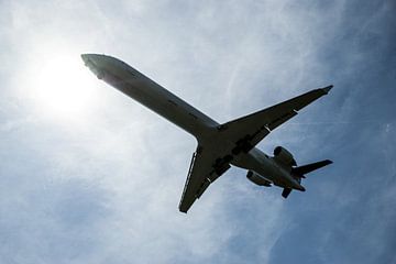 Avion en rétroéclairage sur Norbert Sülzner