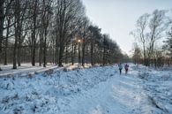 Cross-country skiing by Moetwil en van Dijk - Fotografie thumbnail