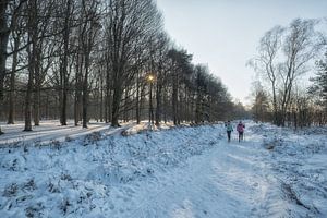Cross-country skiing
