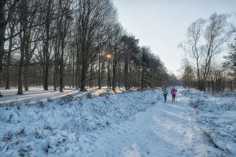 Cross-country skiing by Moetwil en van Dijk - Fotografie