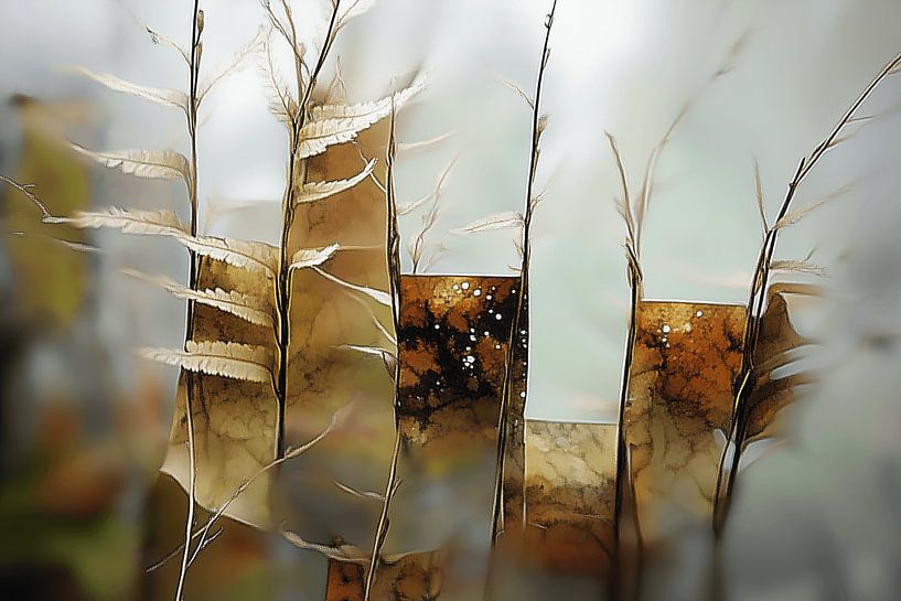 Abstracte natuur van Ton Kuijpers