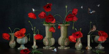 Klaprozen, Vlinders en een Vogeltje