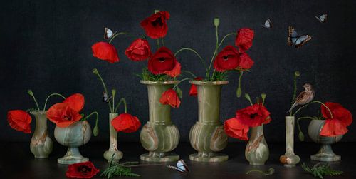 Poppies, Butterflies and a Little Bird