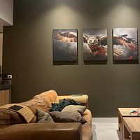 Photo de nos clients: Majesté volante par La collection ARTEO, sur ArtFrame