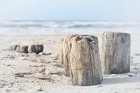 Piles in the sand