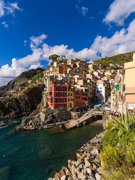 Blick auf Riomaggiore an der Mittelmeerküste in Italien von Rico Ködder
