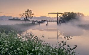 Une belle matinée à Schildwolde, Groningue, au Schildjer Tilbat