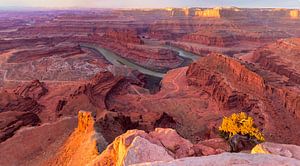 Parc d'État de Dead Horse Point, Utah