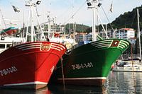 Boten in de haven