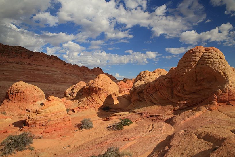 Rotsformaties in de North Coyote Buttes, deel van het Vermilion Cliffs National Monument. Dit gebied van Frank Fichtmüller