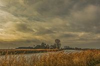 friesland