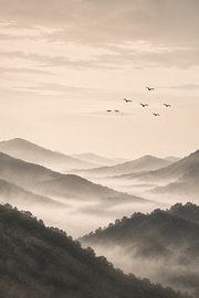 Misty mountain silence by KijkKunst