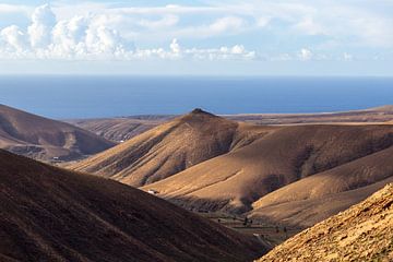 Vulkaanlandschap met verschillend gekleurde bergen op het eiland Fuerteventura van Reiner Conrad