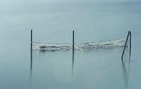 The sea