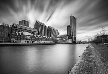 Railway harbour Rotterdam in black and white
