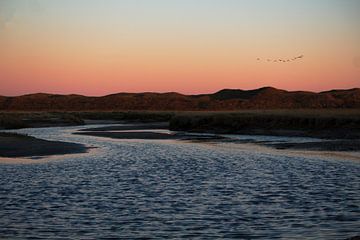 Watergeul in De Slufter tijdens zonsondergang op Waddeneiland Texel van Phillipson Photography