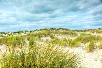 Duinlandschap op Texel van Texel eXperience