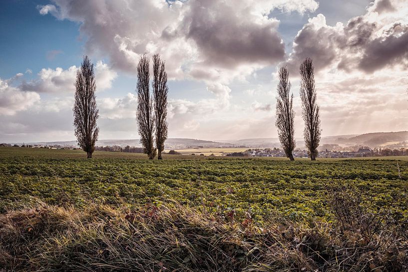 Kleine Toskana von Rob Boon
