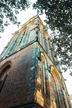 Opkijken naar de Martinitoren van Stadspronk