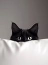 Hello by haroulita thumbnail