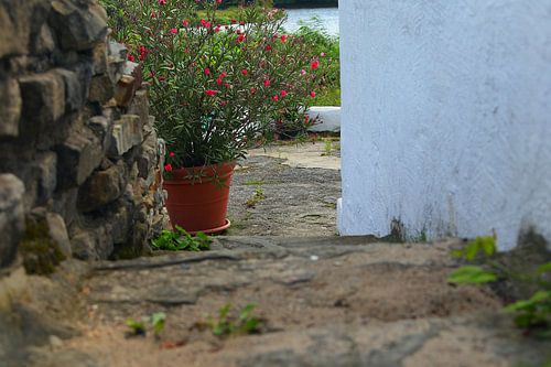 Aan het einde van de trap