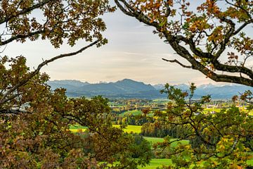 Blick über das Allgäu auf die Allgäuer Alpen und den Grünten von Leo Schindzielorz