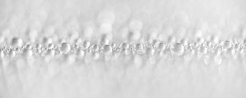 Minimalistisch abstract panorama van waterdruppeltjes