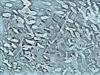 Ocean Tips Silver Blue Abstract