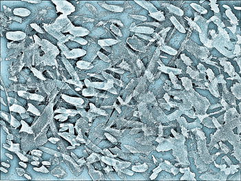 Ocean Tips Silver Blue Abstract