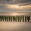 Catching the light van Trudy van der Werf