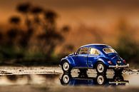 Volkswagen Kever van Tine Visser thumbnail