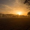 Dutch Farmland Morning Dew Photo, Serene Sunrise with Soft Mist by Martijn Schrijver