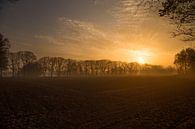 Dutch Farmland Morning Dew Photo, Serene Sunrise with Soft Mist by Martijn Schrijver thumbnail