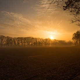 Dutch Farmland Morning Dew Photo, Serene Sunrise with Soft Mist by Martijn Schrijver