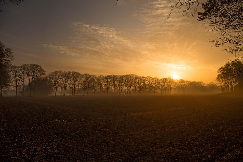 Dutch Farmland Morning Dew Photo, Serene Sunrise with Soft Mist by Martijn Schrijver