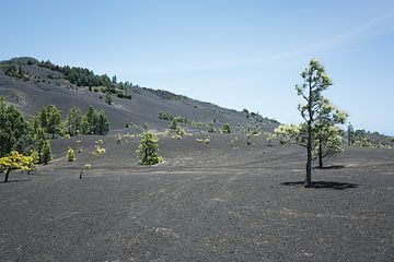 Vulkanisch landschap van Andreas Gronwald