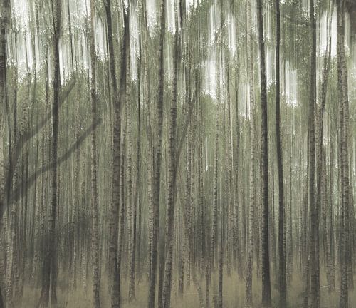 Planken Wambuis part 3