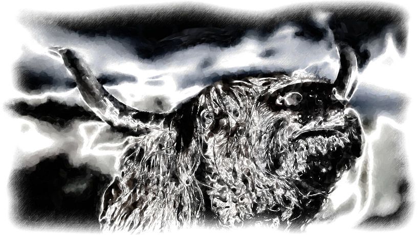 Scottish Highlander by Maurice Dawson