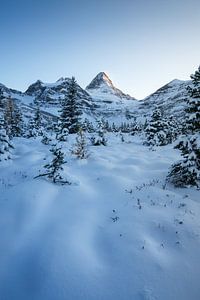 La tranquillité des paysages de neige du Canada