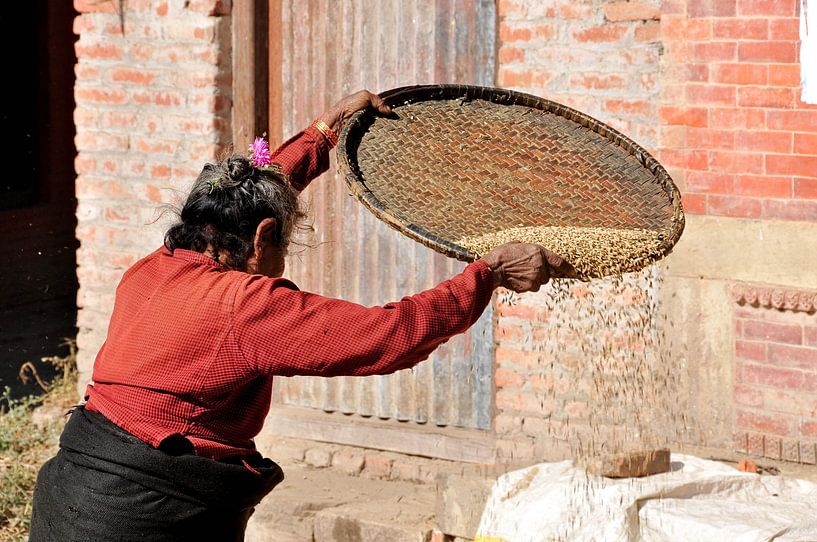 Die alte Frau und der Reis: Eine uralte Geste in Kathmandu von Frank Photos